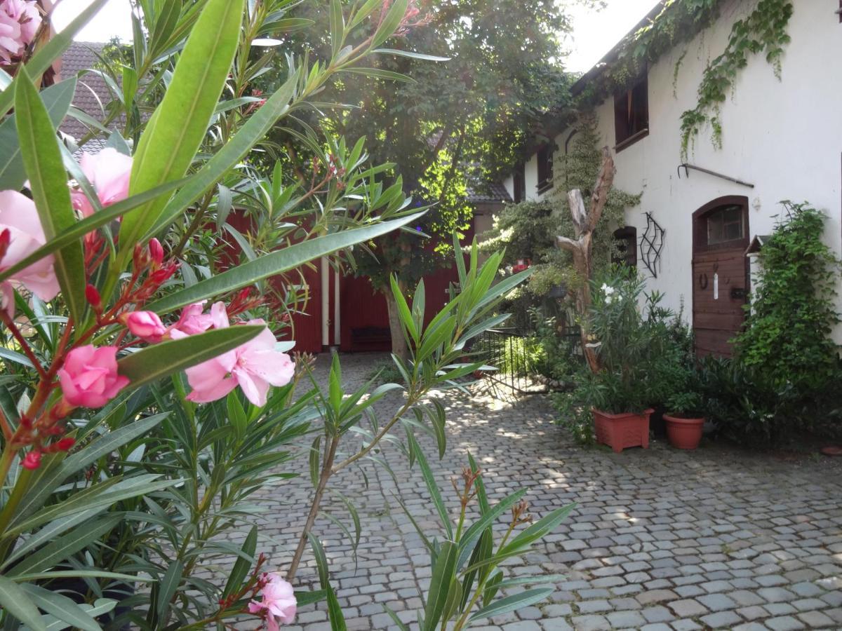 Pension Deerkemer Kuh Dorn-Durkheim Extérieur photo